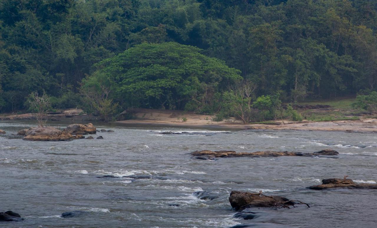 Quiet By The River- Cgh Earth Thodakayam Ngoại thất bức ảnh
