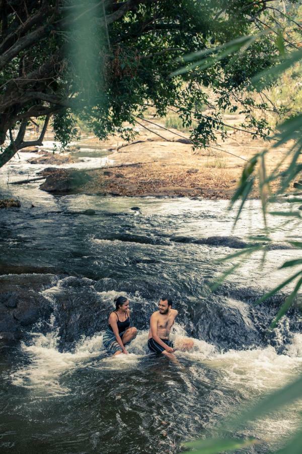 Quiet By The River- Cgh Earth Thodakayam Ngoại thất bức ảnh